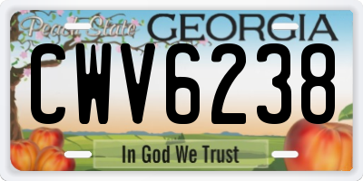 GA license plate CWV6238