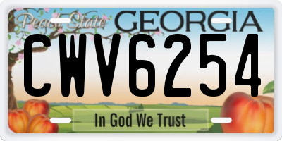 GA license plate CWV6254