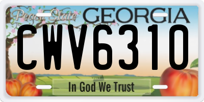 GA license plate CWV6310