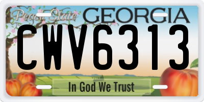 GA license plate CWV6313