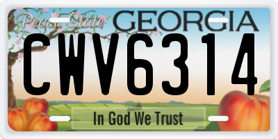 GA license plate CWV6314