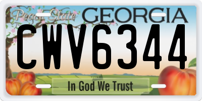 GA license plate CWV6344