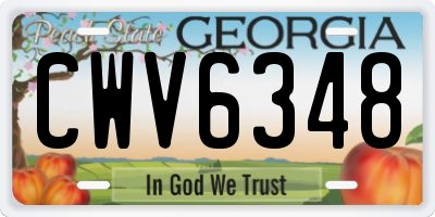 GA license plate CWV6348