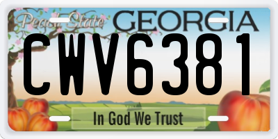 GA license plate CWV6381