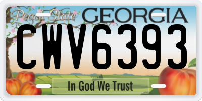 GA license plate CWV6393