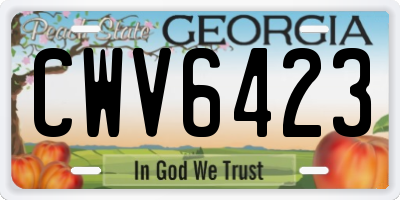 GA license plate CWV6423
