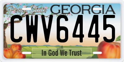 GA license plate CWV6445