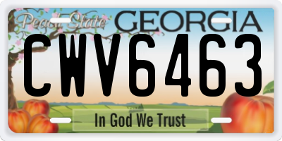 GA license plate CWV6463