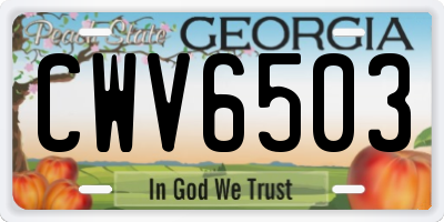 GA license plate CWV6503