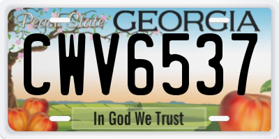 GA license plate CWV6537