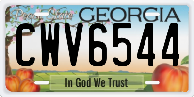 GA license plate CWV6544