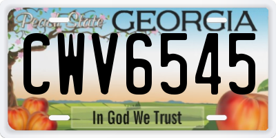GA license plate CWV6545