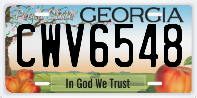 GA license plate CWV6548