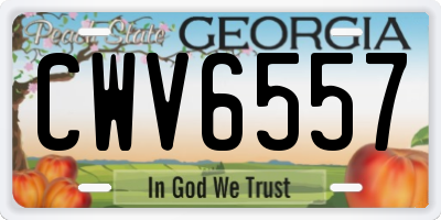 GA license plate CWV6557