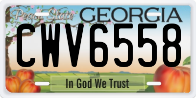 GA license plate CWV6558