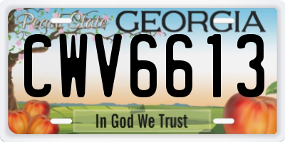 GA license plate CWV6613