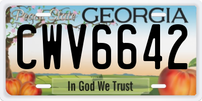 GA license plate CWV6642