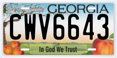 GA license plate CWV6643