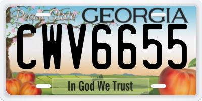 GA license plate CWV6655