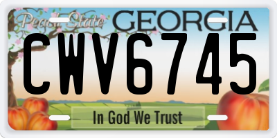 GA license plate CWV6745