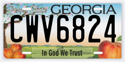 GA license plate CWV6824