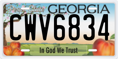 GA license plate CWV6834