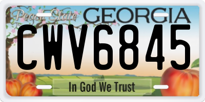 GA license plate CWV6845