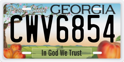 GA license plate CWV6854
