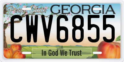 GA license plate CWV6855