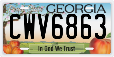 GA license plate CWV6863