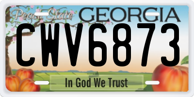 GA license plate CWV6873