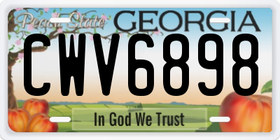 GA license plate CWV6898