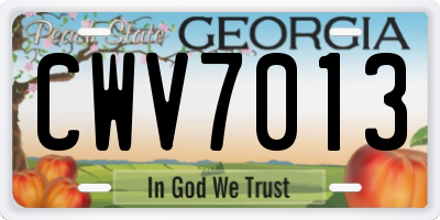 GA license plate CWV7013