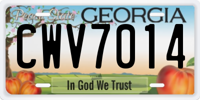 GA license plate CWV7014