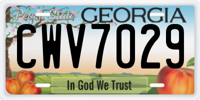 GA license plate CWV7029
