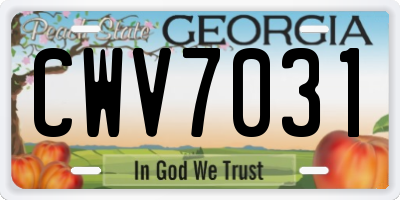 GA license plate CWV7031