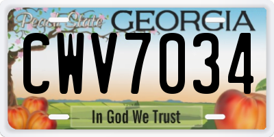 GA license plate CWV7034