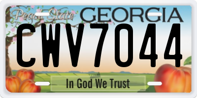 GA license plate CWV7044