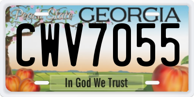 GA license plate CWV7055