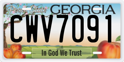 GA license plate CWV7091