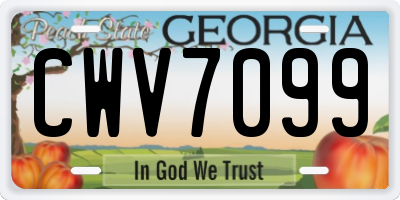 GA license plate CWV7099