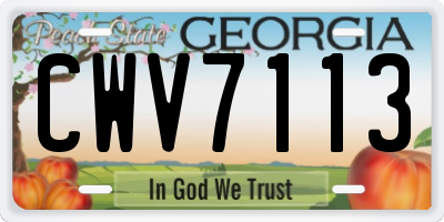 GA license plate CWV7113