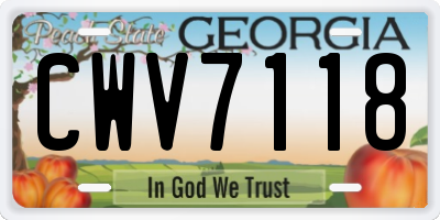 GA license plate CWV7118