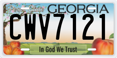GA license plate CWV7121
