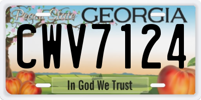 GA license plate CWV7124