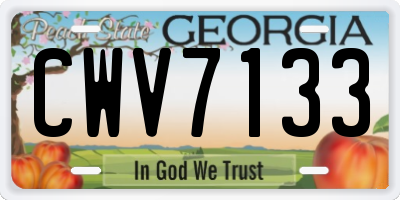 GA license plate CWV7133