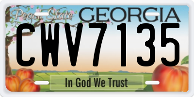 GA license plate CWV7135