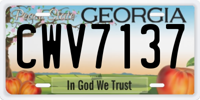 GA license plate CWV7137