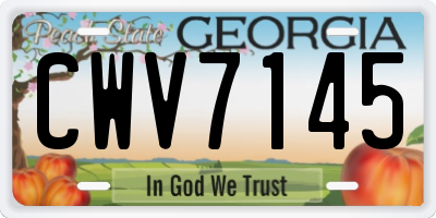 GA license plate CWV7145