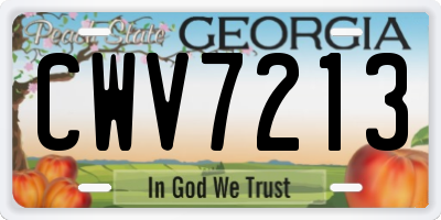GA license plate CWV7213